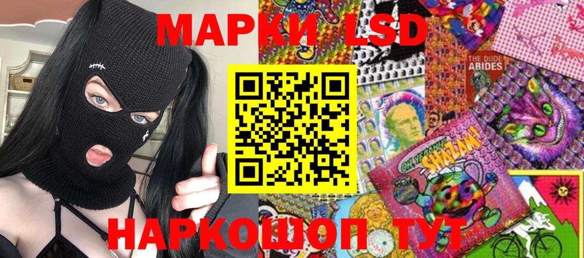 Псилоцибиновые грибы Чебоксары